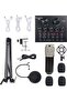 Condenser Microphone Bundle with Live Sound Black/Silver
