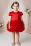 Baby Girl Children's Birthday Party Wedding Dress Tulle Tutu Lined Children's Clothing Baby Clothing Baby Girl E - 3