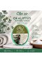 Eucalyptus Soap - Sponge Detailed