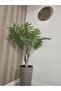 Philodendron 130cm - 2