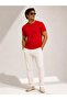 Organic Cotton Logo Pocket T-Shirt - 3