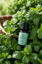 Solaén Natural 100% Pure Peppermint Essential Oil 10 ml - 2