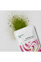 ماتشا لاب - ماتشا بنكهة التوت الأحمر 50جم | MatchaLab Raspberry flavored Matcha 50 Gm - 2