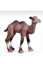 نموذج مجسم جمل ماركة Oenux - 5