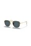Rb3857 Frank Sunglasses 51mm