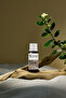 Myrtle Leaf Oil 10ml - 2