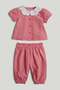 Pink Blouse and Trousers Outfit