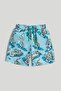 Tiger Swim Shorts