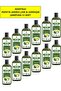 Herbal Shampoo with Chamomile, Arnica, Pine and Ivy, 485 ml Pack of 12