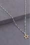 316 L Stainless Steel - Anti-Allergic - Non-Tarnish - Steel Chain - Steel Gold Tip - Design Necklace