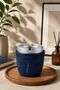 Decorative Moai Design Odorless Ashtray |   Wind Preventer |   Deep Chamber |   Plastic Ashtray |   Blue - 4