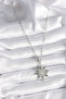 316L Steel Silver Color Zircon Stone Pole Star Model Women's Necklace 5886 - Teolsa6468-8162 - 2