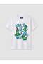 Crew Neck Printed Boy's T-Shirt