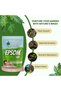 Epsom Salt for Bath, 2Kg | Plants & Foot Soak, Natural Magnesium Sulfate | Relaxing Soak for Muscle Relief, Aromatherapy - 4