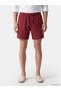Lcw Swimwear Brown Short Length Men's Swim Shorts - 2