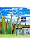Paraben Free Aloe Vera Gel, 200g | Pure Natural After Sun & Daily Skin Care Gel - 5