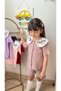 Dried Rose Flower Collar Embroidery Detail Felt Shorts Suit - 2