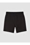 Two Mt Shop Quality Xside Black Elastic Waist New York Printed Women's Shorts - 3