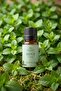 Peppermint Essential Oil 10 ml – Natural Essential Oil |   Aromatherapy, Diffuser, Incense Burner - 3