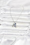 316L Steel Chain Silver Color Dolphin Model Women's Necklace Premium Stain Resistant Elegant - 2