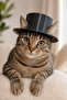 Cat Hat Black Top Hat Cat Accessory with Ear Holes Cute Photo Shoot Hat Pet - 2