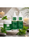 Peppermint Scalp Care Set – Shampoo 500ml + Conditioner 500ml + Scalp Scrub 1kg | Fre... - 2