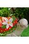 Tortoise With Strawberry Shaped Magnesia Planter 35.5x21.5x20cm - Off White Red - 2