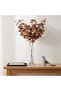 Artificial Eucalyptus Stem H101cm - Brown - 3