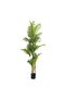 Artificial Chrysalidocarpus Tree With Pot H220cm -green - 2