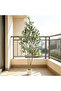 182 cm Artificial Olive Tree Double Trunk – Lifelike & Maintenance-Free with White Planter, Perfect for Living Room & Office - 3