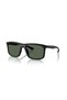 Ea 4234U 500171   57 Unisex Sunglasses