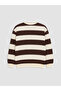 Lcw Kids Brown Polo Collar Striped Boys' Sweatshirt - 3