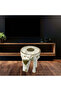 Hand-Painted Wooden Elephant Side Table Rajasthani(width 12.5inches x depth 16inches x height15) - 2