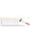 CIOCAN DE FERAR 8000G STANDARD - 2