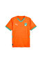 Mens Côte d'Ivoire 2025 Home Jersey Top - 6