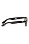 Wayfarer Sunglasses