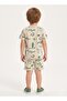 Boys Beige Green Summer Shorts Set - 2