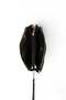 Black - Black Monogram Women's Crossbody Bag Sp1291 - 7