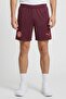 Men Sportswear Fit Brand Logo Training Shorts, Maroon