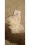 Girls' Tulle Ruffled Cotton Socks 6-Pack (Ages 5-6) - 5