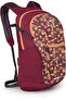Daylite Plus