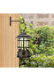Two hooks, suitable for hanging plants, flower pots, hanging flower racks, and balcony wall hooks. - 4