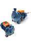 Centrifugal Water Pump 1HP 220–240V Copper Motor High Pressure Home Garden Tank Filling Continuous Duty Pump for Domestic & Light Commercial Use CPM-158 Model BN-HK106 - 3