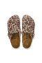 Boston Vl Print Leo Sand Unisex Slippers 1033324 Juststep - 4