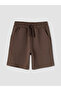 Two Mt Shop Quality Lcw Kids Brown Plain Standard & Regular Boys' Shorts