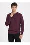 Regular Fit Men's Sweater