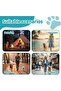 285ml dog water bottle with collapsible silicone bowl, leak-proof design, suitable for walks and hikes. - 6