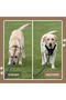 Dog harness, anti-pull harness, anti-pull dog harness with easy on/off design - breathable and thickened - suitable for easy walks (M) Black - 2