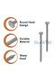 High Strength Round Head Nails for Carpentry, Hardware, and Electrical Applications (Pack of 100, 3 Inch) - 2
