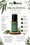 Eucalyptus Essential Oil 100% Pure 10 ml - 4